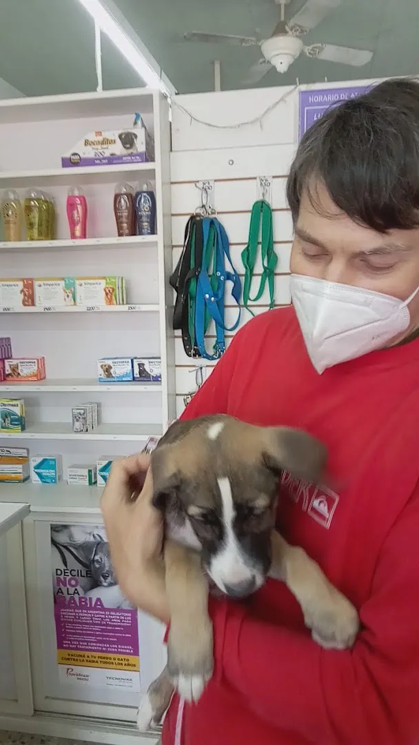Cachorro en brazos, en el consultorio, frente a los estantes con productos para mascotas
